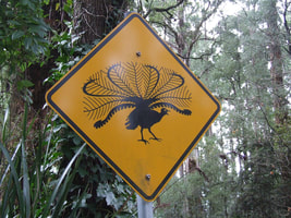 ROAD SIGN AUSTRALIA